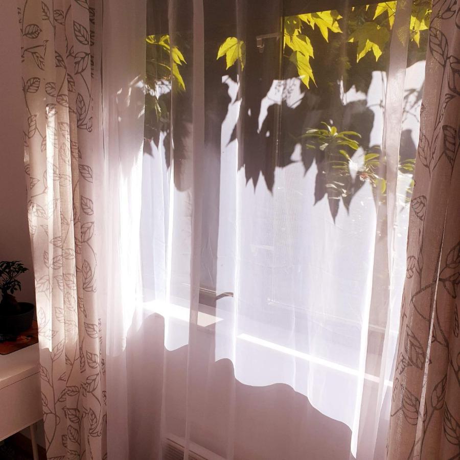 Ochota Forest Guest House وارسو المظهر الخارجي الصورة